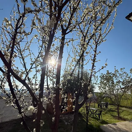 Meti Gasthuis Krujë