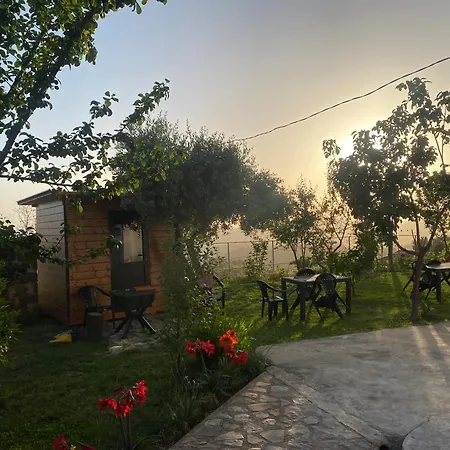 Meti Guest house