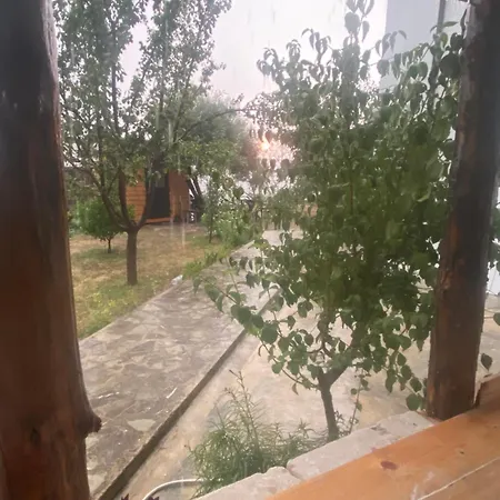 Meti *