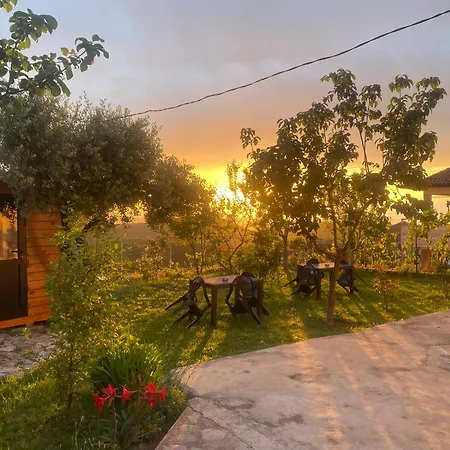 Meti Guest house