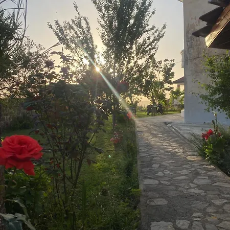 Guest house Meti