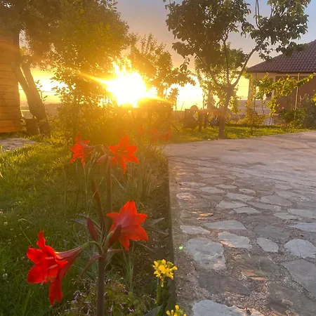 Guest house Meti Kruje