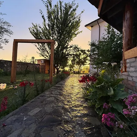 Meti Guest house *