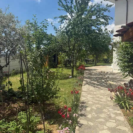 Meti Krujë