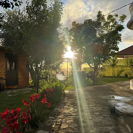 Meti